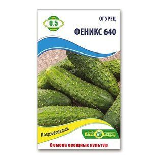 Насіння огірків Фенікс 640 0.5 гр 940704325 фото