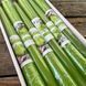 Свічки декоративні конусні BARTEK ароматизовані Яблуко 1073709232 фото 1