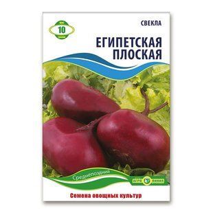 Насіння буряка Єгипетська плоска 10 гр 1387979534 фото