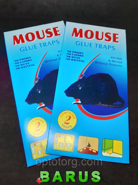Клейова пастка Mouse від щурів та мишей 28*13 см 2шт велика 1689971213 фото
