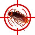 Защита от тараканов