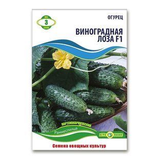 Насіння огірка Виноградна лоза F1 3 г  96547865 фото