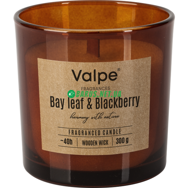 Свеча в стакане + деревянный фитиль 300 г 40 часов Bay leaf&Blackberry sn100 фото