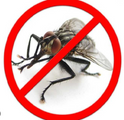 Засоби захисту від літаючих комах