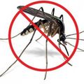 Средства защиты от комаров