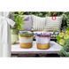 Свечи ароматизированные в стакане BARTEK Lavender&Verbena  4567890 фото 3