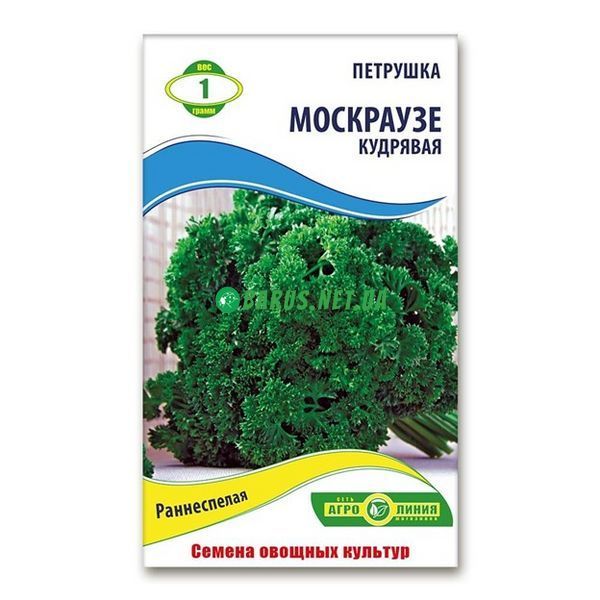 Насіння петрушки Москраузе 10 гр 877037273 фото