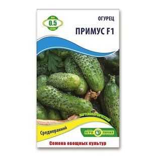 Насіння огірків Примус F1 0.5 гр 940705706 фото