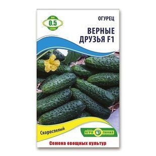 Насіння огірків Вірні друзі F1 0.5 гр 940019087 фото