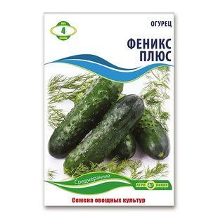 Насіння огірків Фенікс плюс 4 гр 940659456 фото