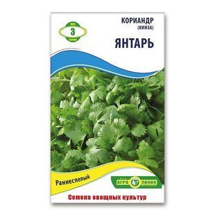Насіння коріандру (кінзи) Бурштин 3 гр 929301447 фото