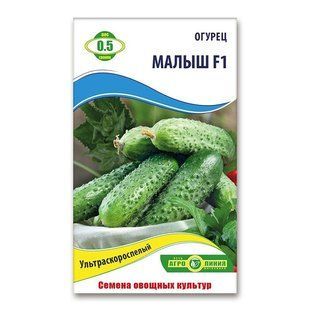 Насіння огірків Малюк F1 0.5 гр 940668654 фото