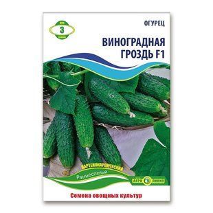 Насіння огірків Виноградна гроно F1 3 гр 940678240 фото