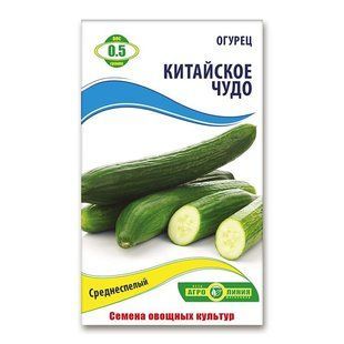 Насіння огірків Китайське диво 0.5 гр 940682067 фото