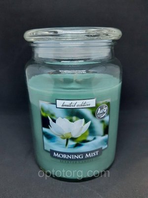 Свічка ароматизована в посудині AURA Bispol Morning Mist 500г SND99 фото