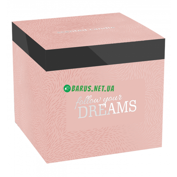 Свеча парфюмированная с 2 фитилями 300 г Follow your DREAMS  sn100m фото