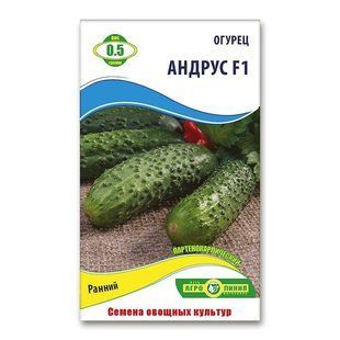 Насіння огірків Андрус F1 0.5 гр 940686492 фото