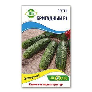Насіння огірків Бригадний F1 0.5 гр 940020586 фото