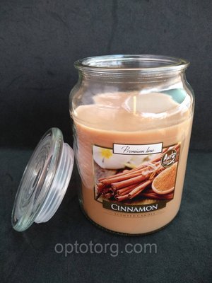 Свічка ароматизована в посудині AURA Bispol c запахом Кориці 500 г, час горіння 100 годин 1477156254 фото