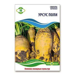 Насіння буряка кормовий Урсус Полі 10 грам якість 1359063740 фото