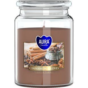 Свічка ароматизована в посудині AURA Bispol c запахом Кориці 500 г  100 годин 1477156254 фото