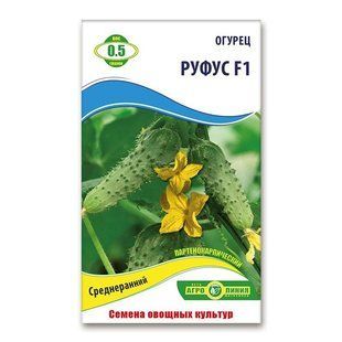 Насіння огірків Руфус  F1  0.5 гр 940025977 фото
